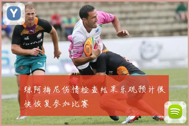 琼阿梅尼伤情检查结果乐观预计很快恢复参加比赛