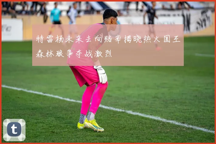 特雷杨未来去向赔率揭晓热火国王森林狼争夺战激烈